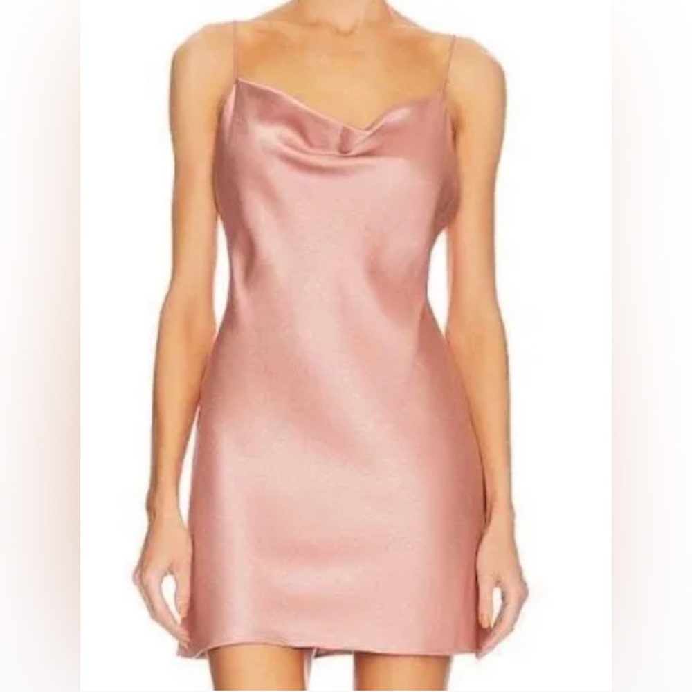 Alice + Olivia Harmony Mini Slip Dress in Burnt Rose Large